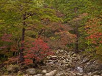 Seoraksan