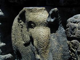 Elefant
