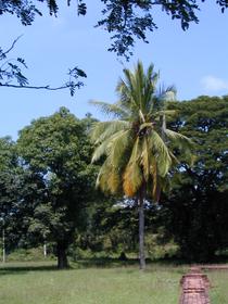 Alt-Sukhothai