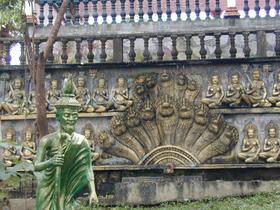 Nagas