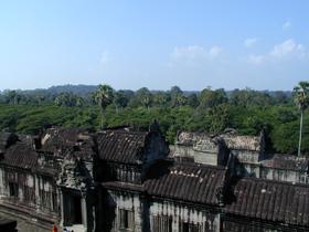 Blick von oben