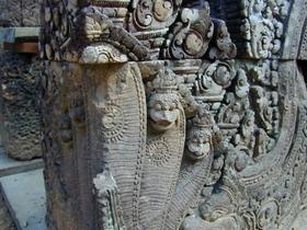 Naga