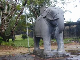 Elefant
