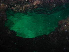 Spiegelung