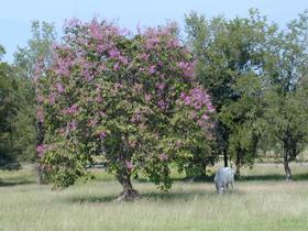 Landschaft